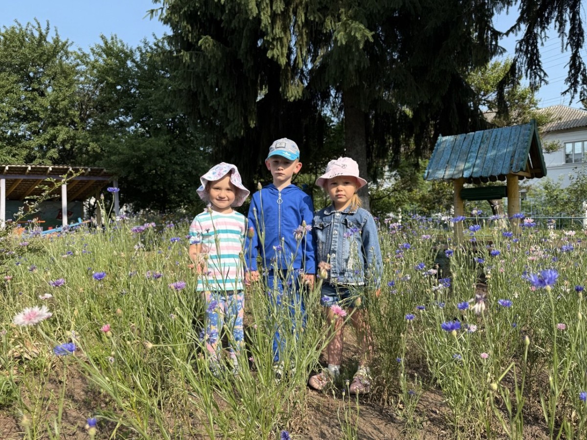 Під літнім небом України.