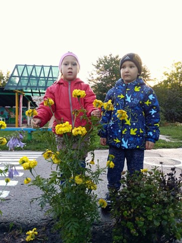 День Покрови